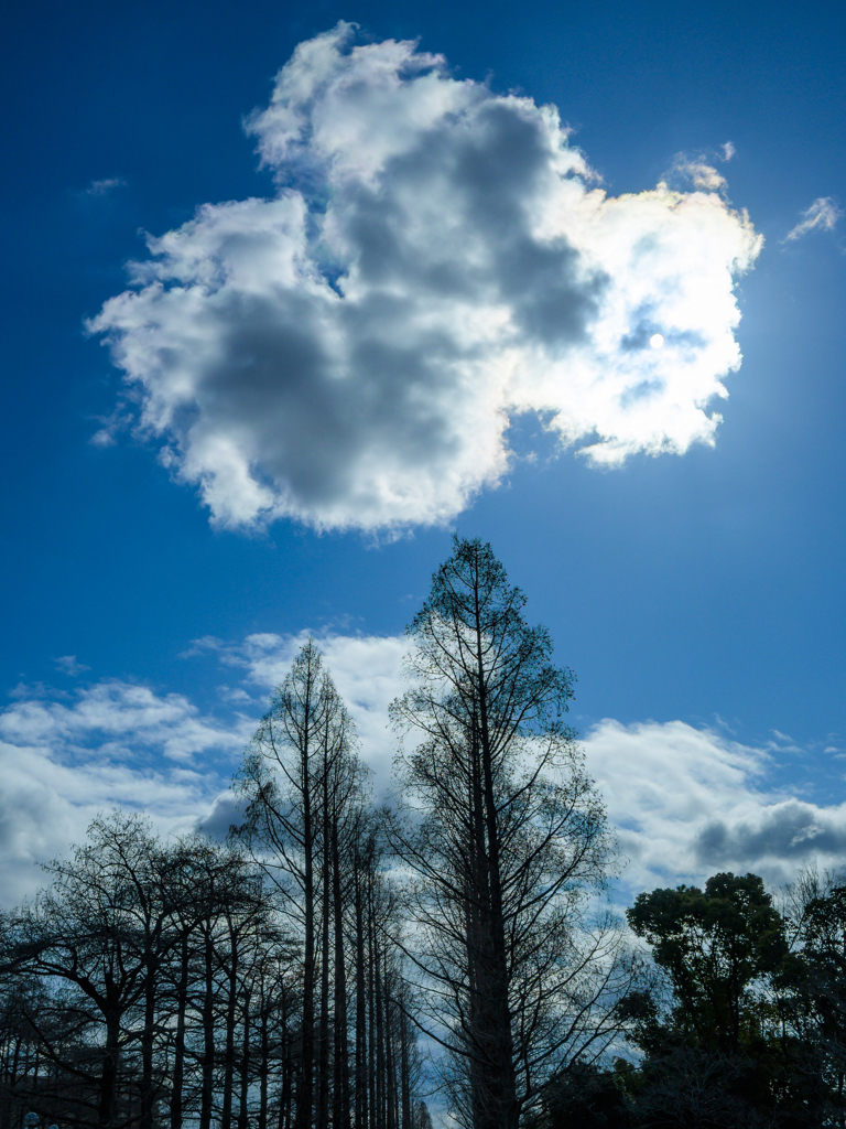 Clouds and trees