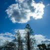 Clouds and trees