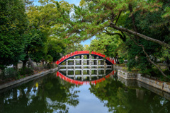 Bridge
