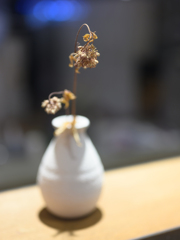 Dry flower