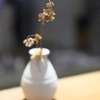 Dry flower
