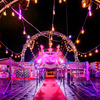 Night at the Circus