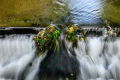 Waterstream