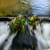 Waterstream