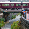 Rain train
