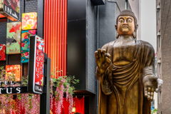 Buddha
