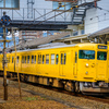 Yellow at the station