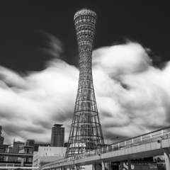 Kobe Port Tower / take 2