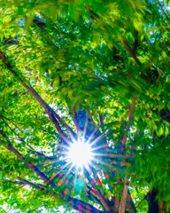 Light and wind