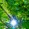 Light and wind