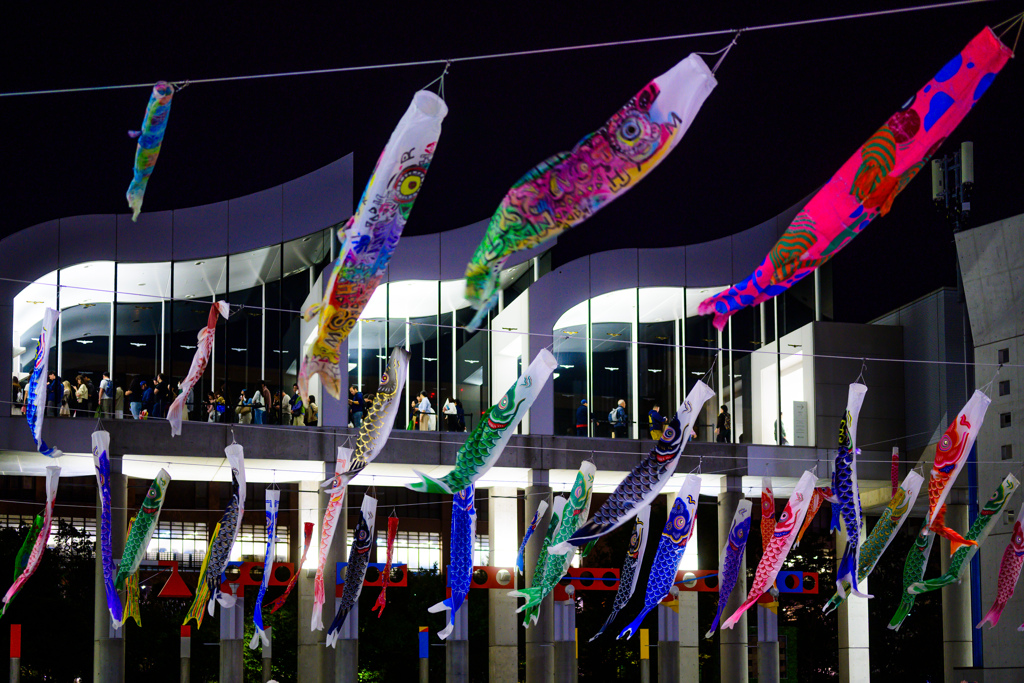 Carp streamers