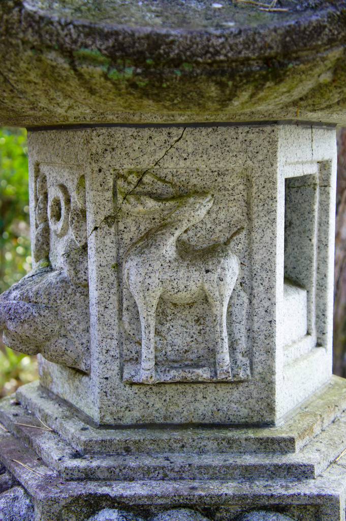 Kasuga lantern