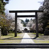 桜満開の岩手護國神社