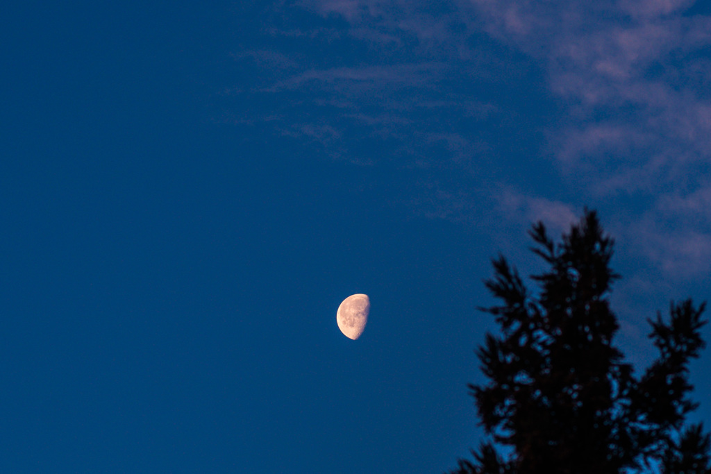 morning moon