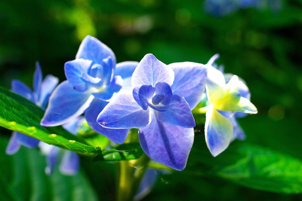 It's Summer!