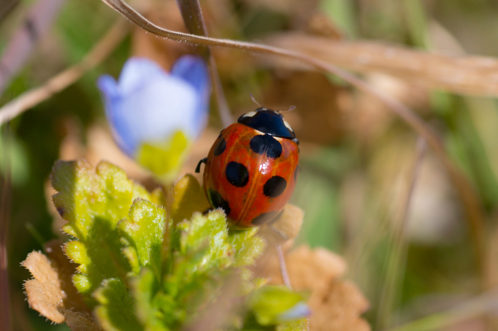 Spring is here