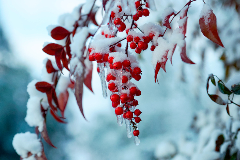 -8°C morning