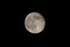 Izayoi-moon