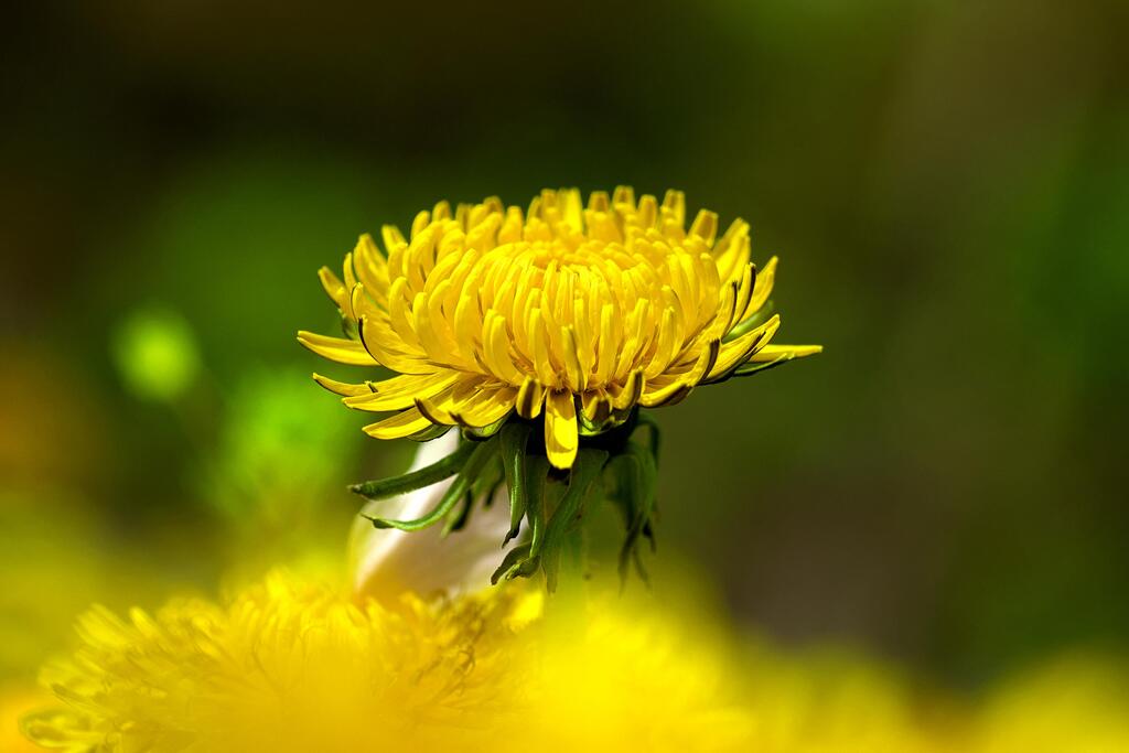 It's spring!