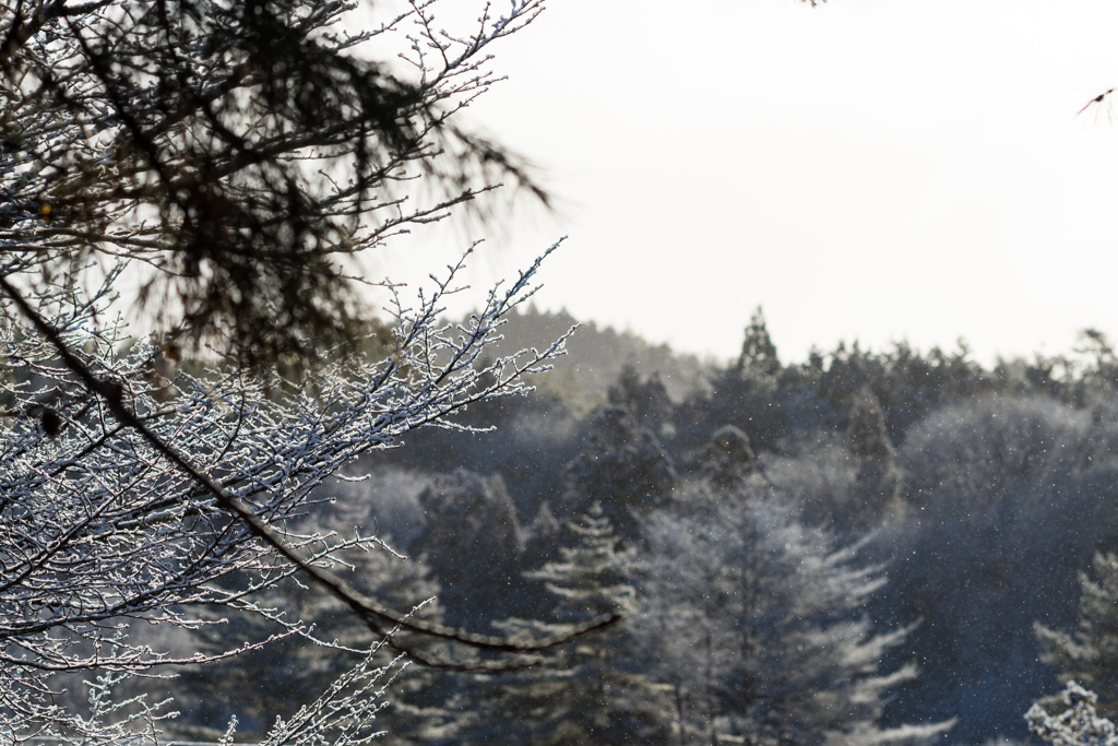 Glowing Snow