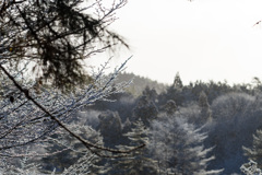 Glowing Snow