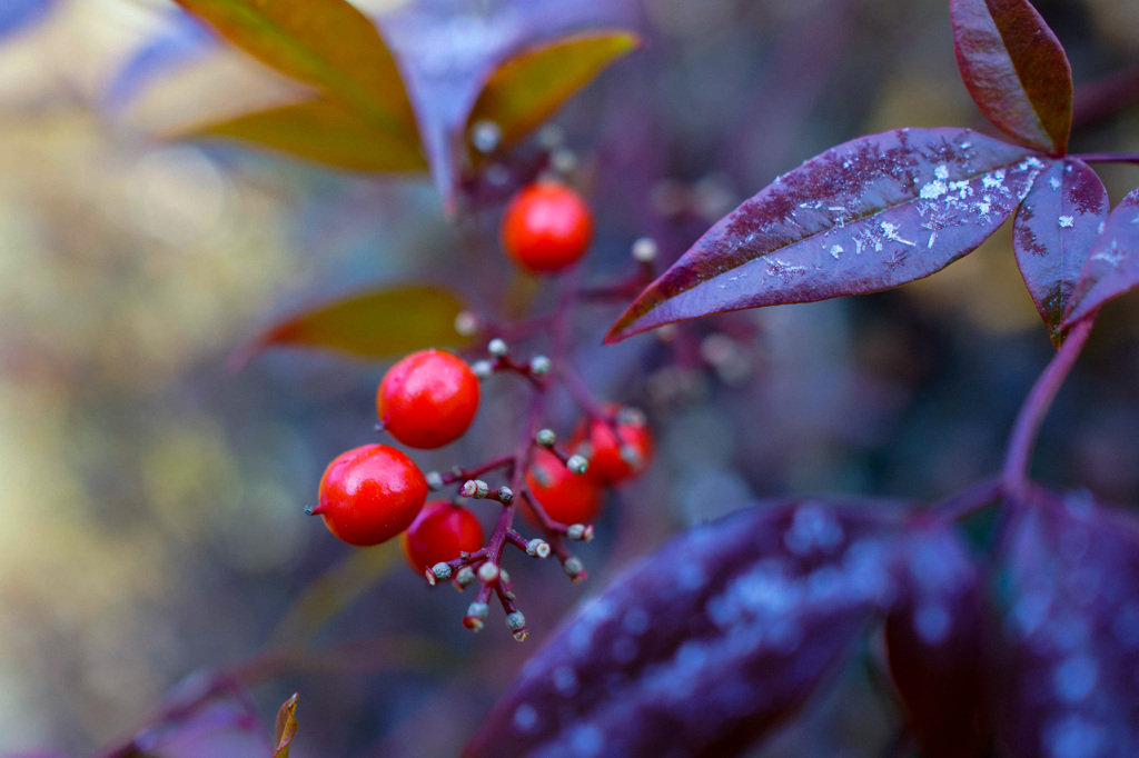 End of winter