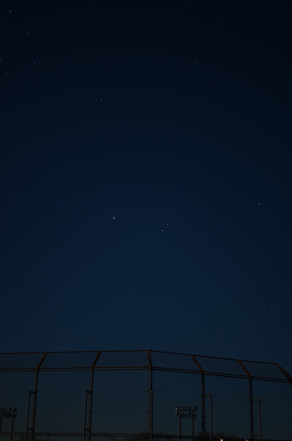 バックネットから見上げた星空