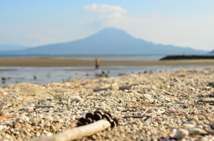 目線を変えた桜島