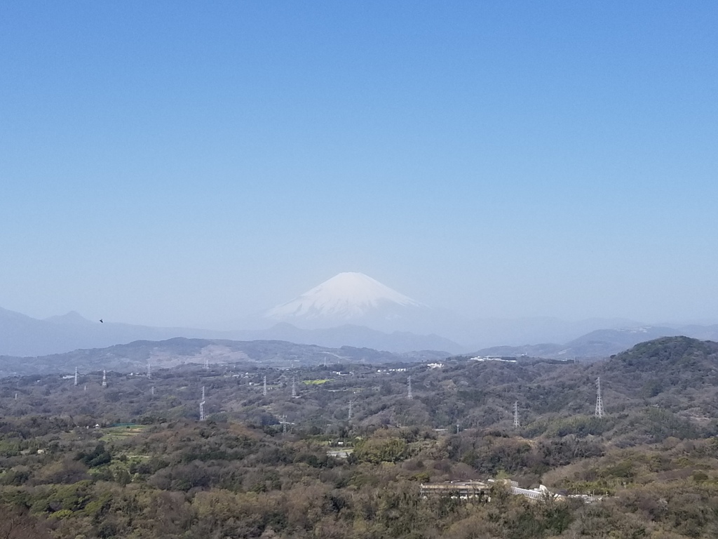 湘南平からの富士山