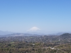 湘南平からの富士山