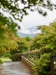 花の都公園