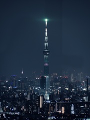 東京と、スカイツリー