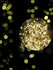 イルミネーション