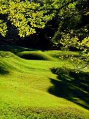 公園の堀
