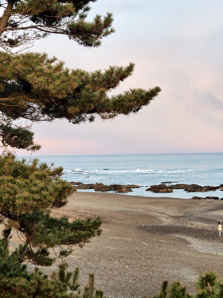 海岸をのぞく