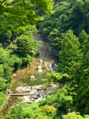 養老渓谷