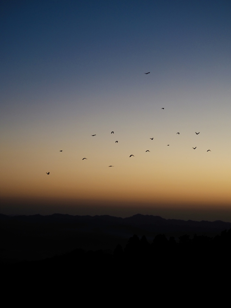 空と鳥と