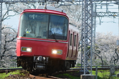 桜満開の日　笠松カーブ ６８００系