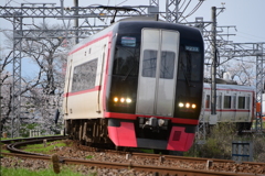 桜の季節の名鉄笠松カーブ 3 2200系