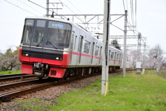 桜の季節の名鉄笠松カーブ