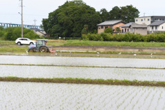 棚からぼた餅