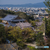 清水寺から眺める京都の街並み