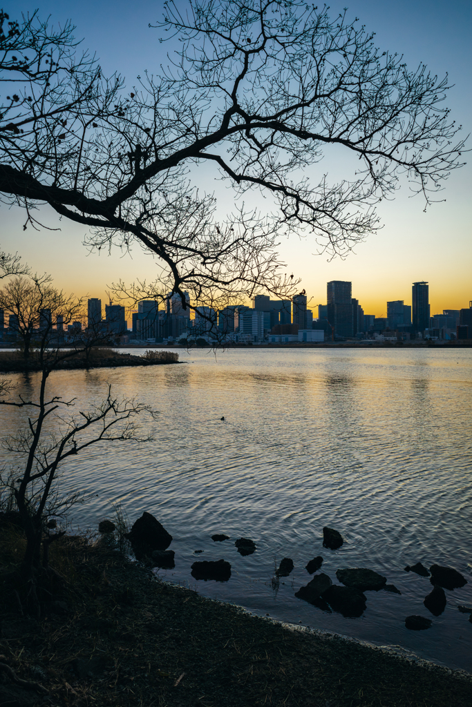 大阪府 - 淀川河川公園