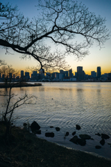 大阪府 - 淀川河川公園