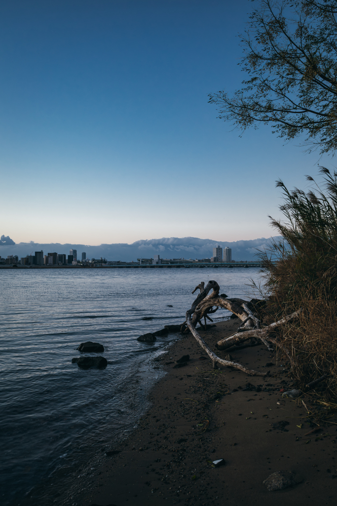 大阪府 - 淀川河川公園