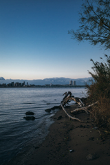 大阪府 - 淀川河川公園