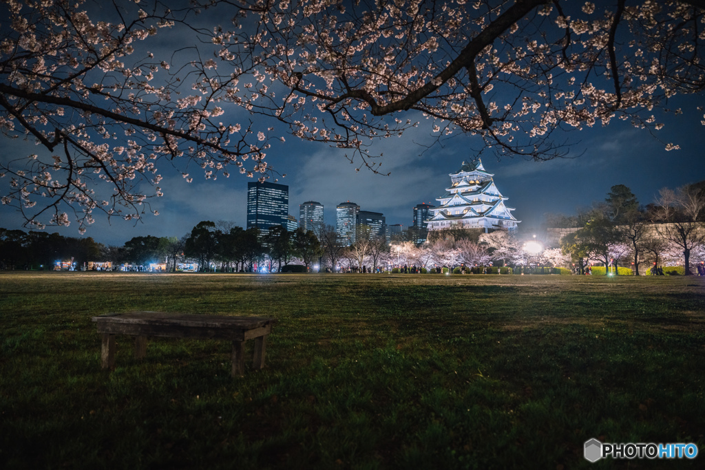 大阪城の夜桜