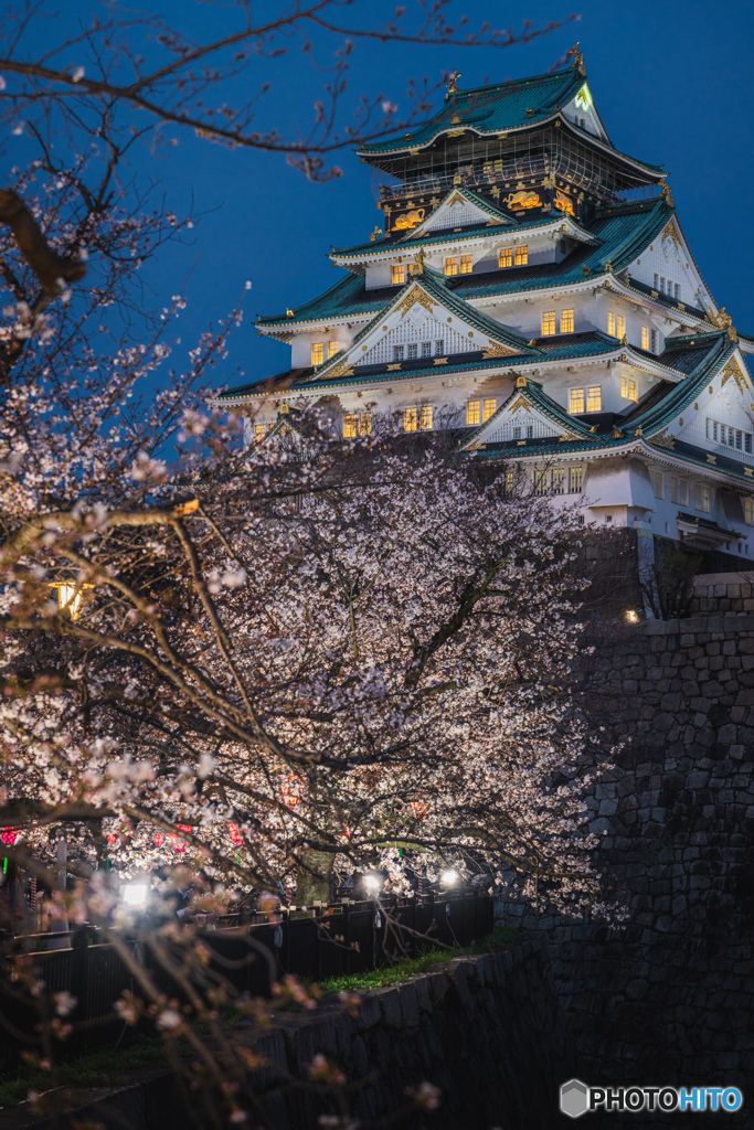 大阪城と夜桜