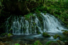 新緑の元滝伏流水