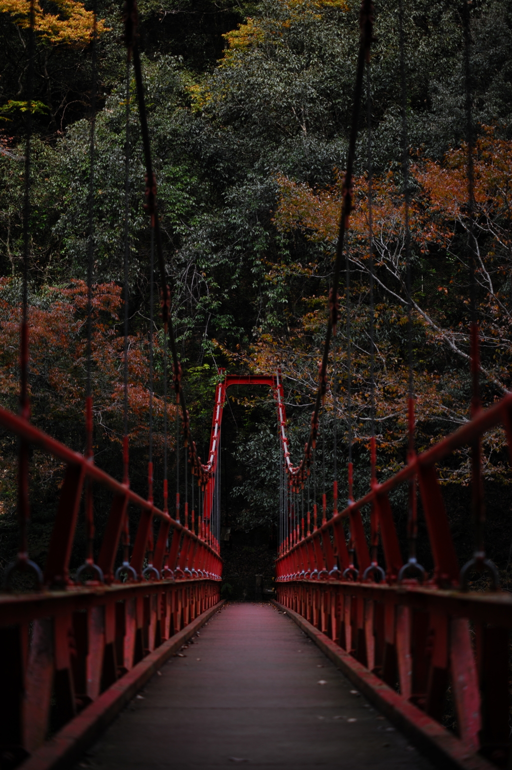長門峡の吊り橋